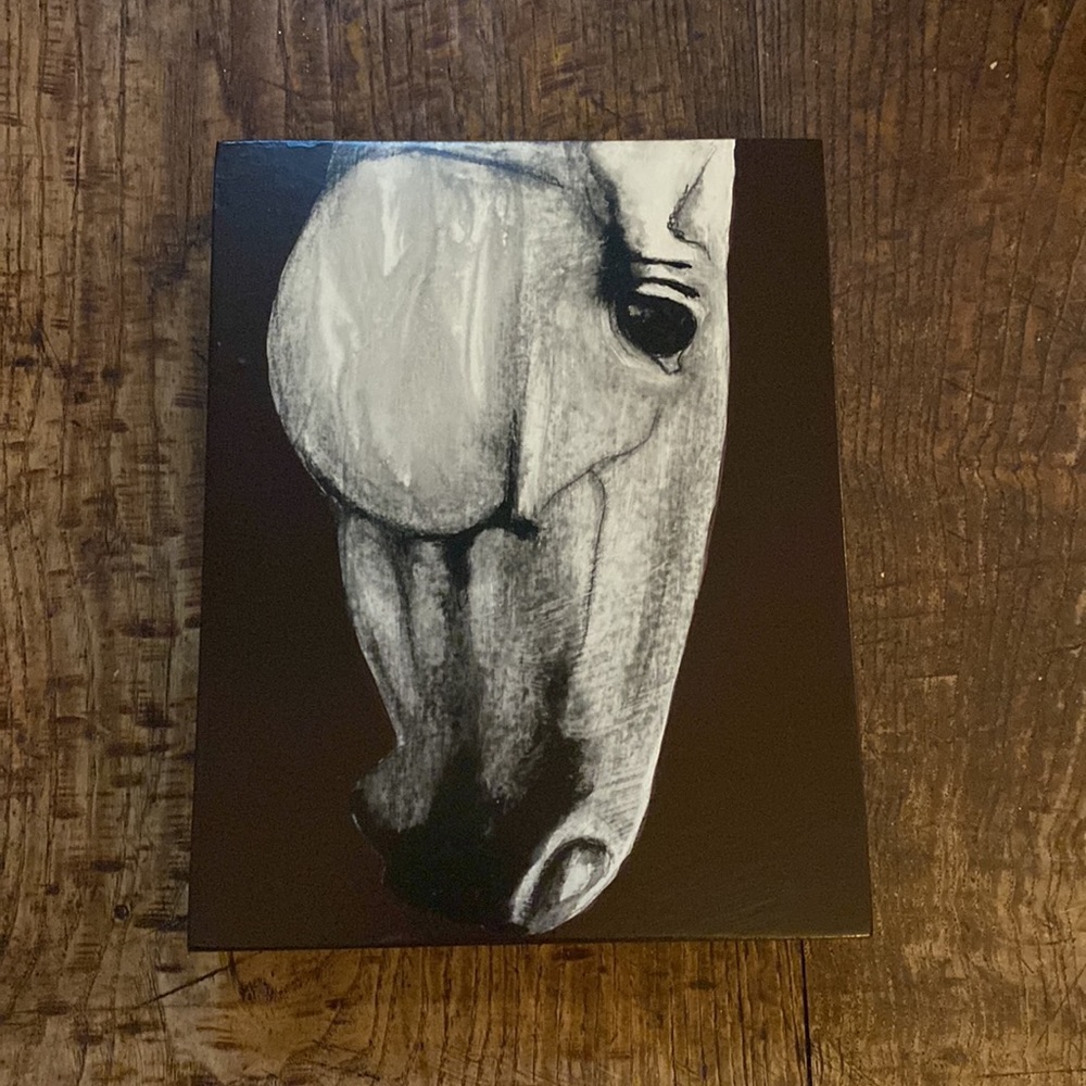 Furiani on Canvas